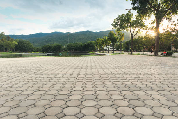Best Driveway Pavers Contractor  in Mayo, FL