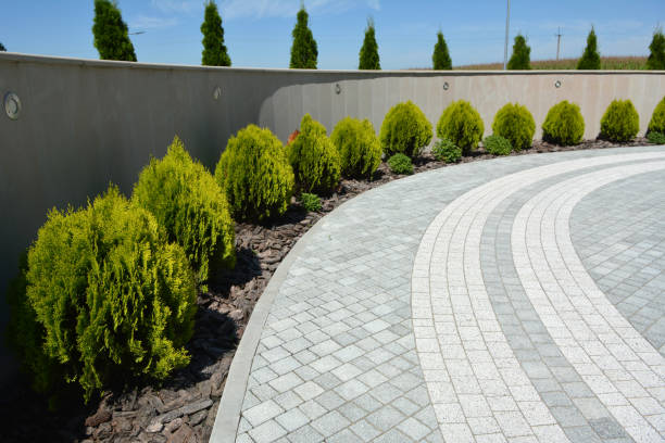 Best Driveway Paving Contractor  in Mayo, FL